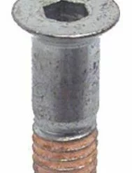 Shimano Rollenschraube XT Ab ´99 (M5x13,95mm) Y-53M24000 Stückpreis !